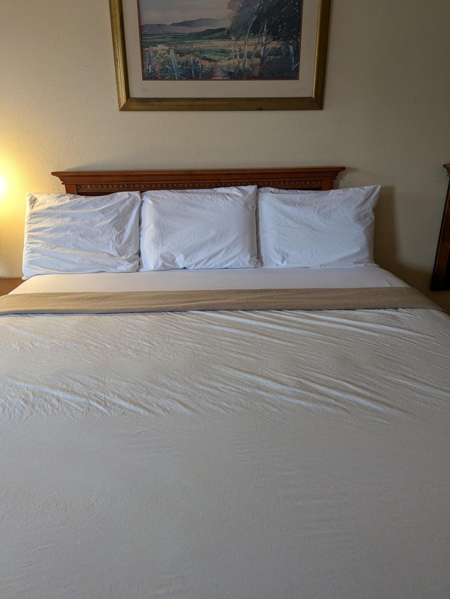 Sun Inn And Suites Kissimmee Eksteriør billede